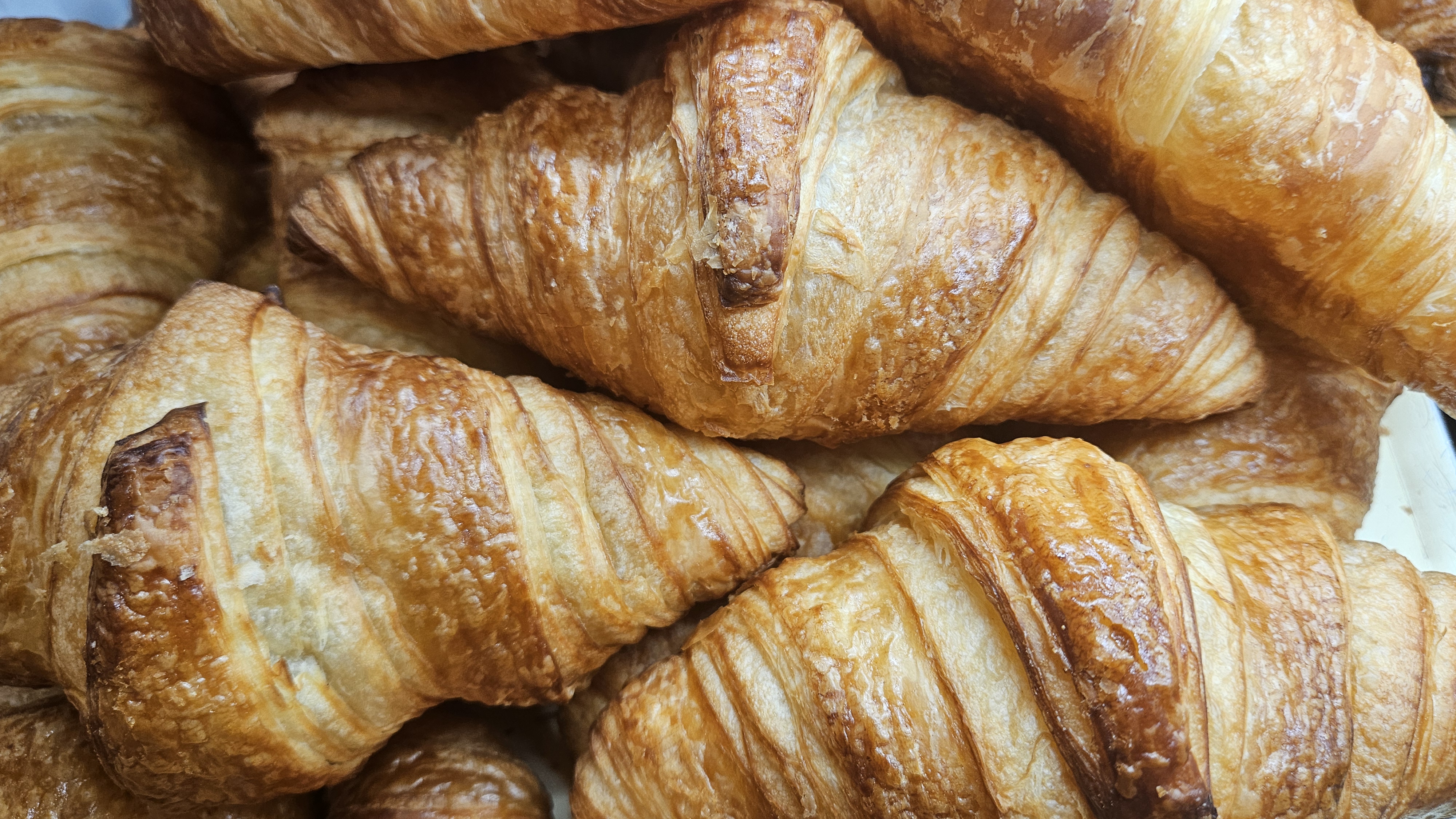 Fresh croissants